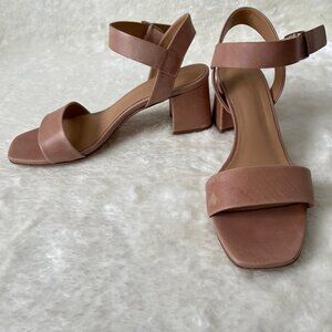 Nisolo Stella Go-To Block Heel Ankle Strap Sandal in Desert Rose, size US10